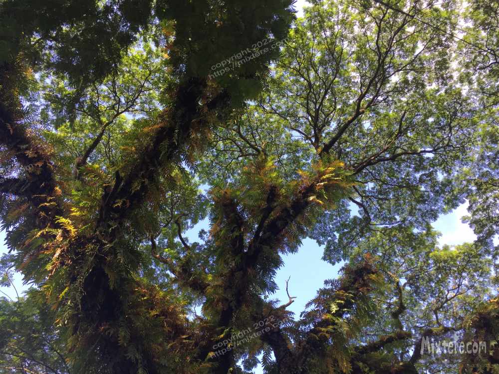 BBG&B14GuwahatiGatewayToTheNortheast - 2