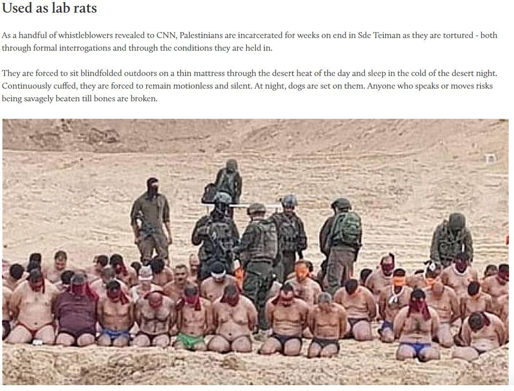 lab-rats.jpg