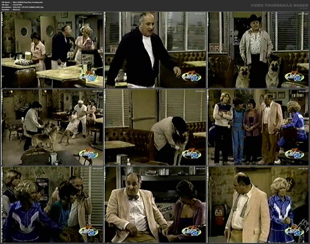 Alice S05E02 Dog Day Evening.mkv