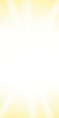 Special Offer Banner