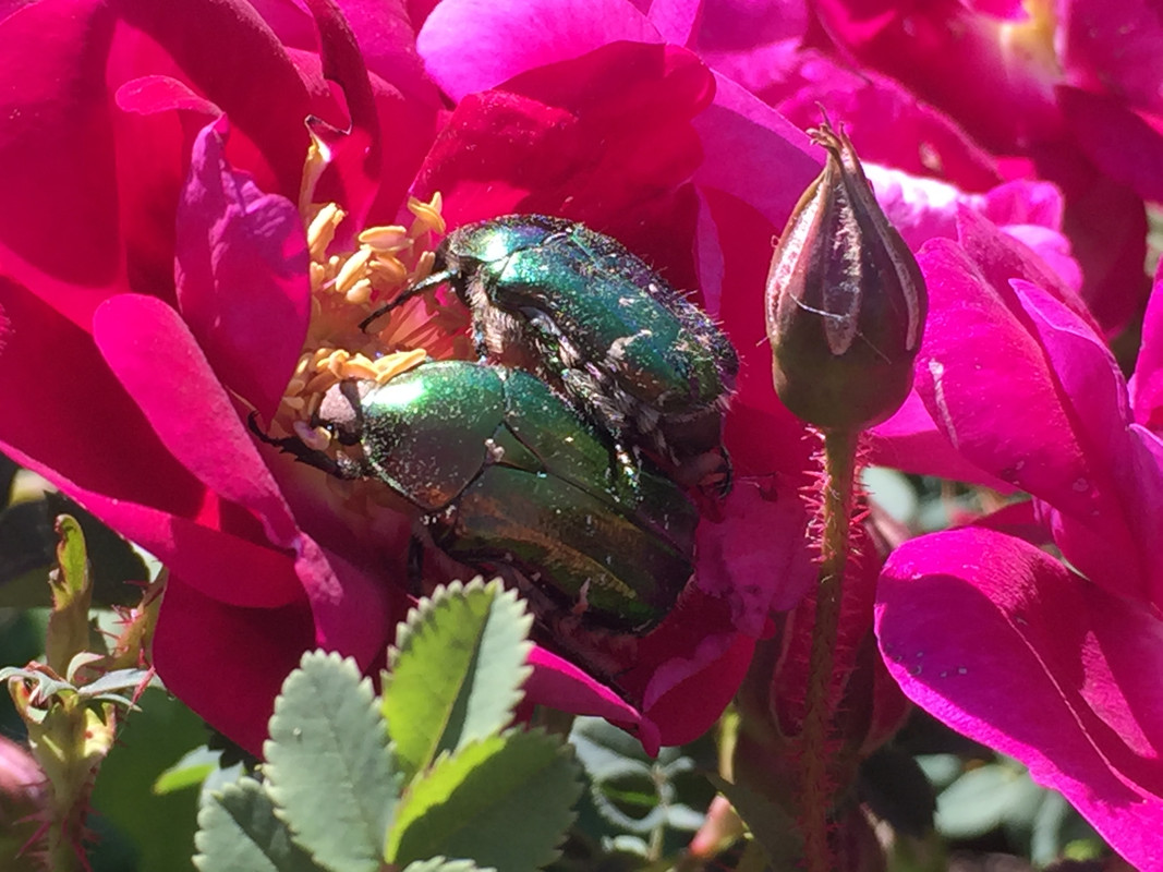 A2E38878-CFEC-4D14-845C-66088D36C980