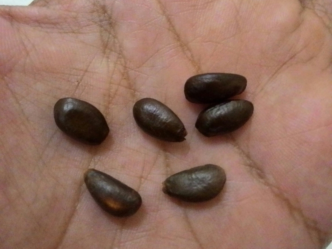 P_20150207_014802_1[1]