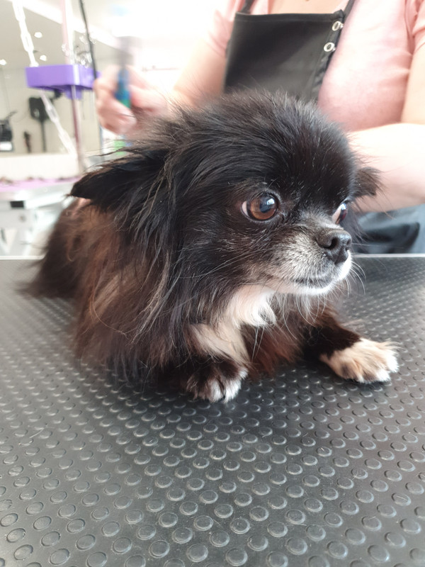 [Image: 20220513-160045.jpg]