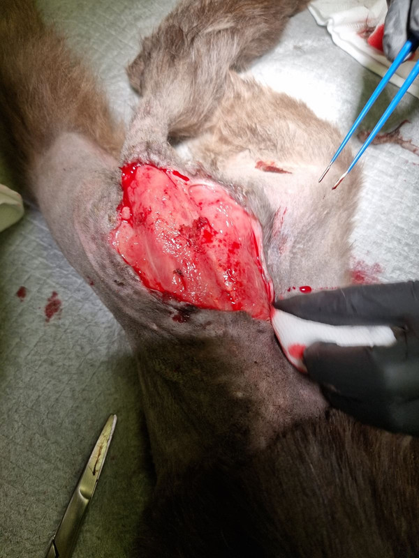 DC0D6ED8-408E-4D20-9DC4-1A8841D97101