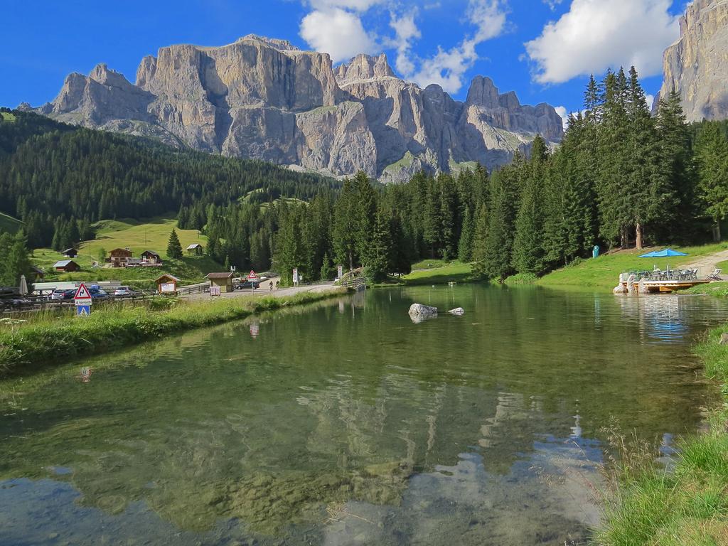 https://i.postimg.cc/gkJ6Drxg/006-IMG-3693.jpg