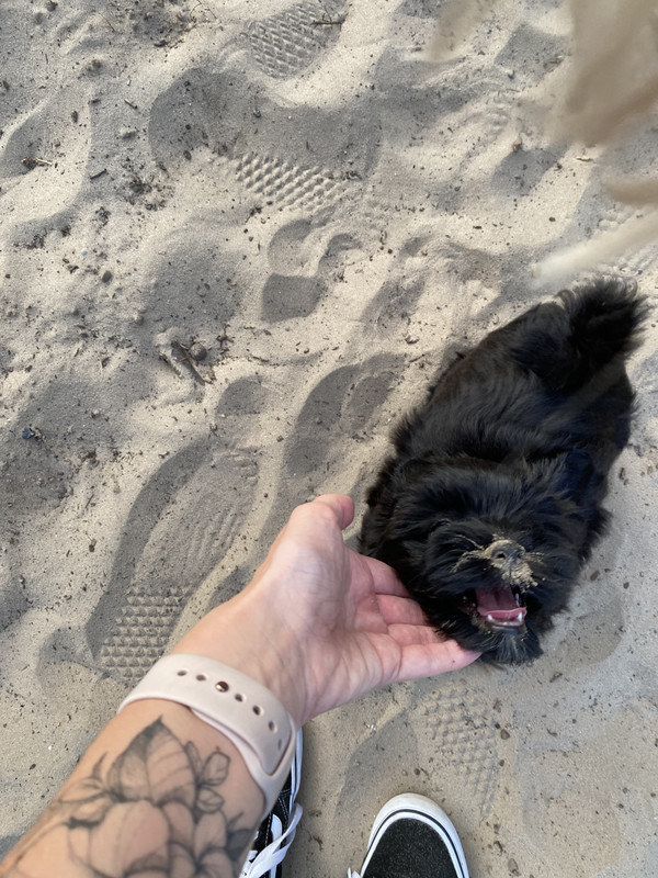 011B0F4F-7423-4DD2-820E-221794961497