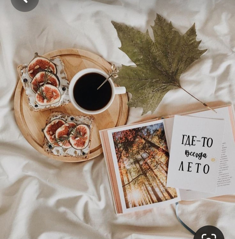 Screenshot_20230808_003919_Pinterest