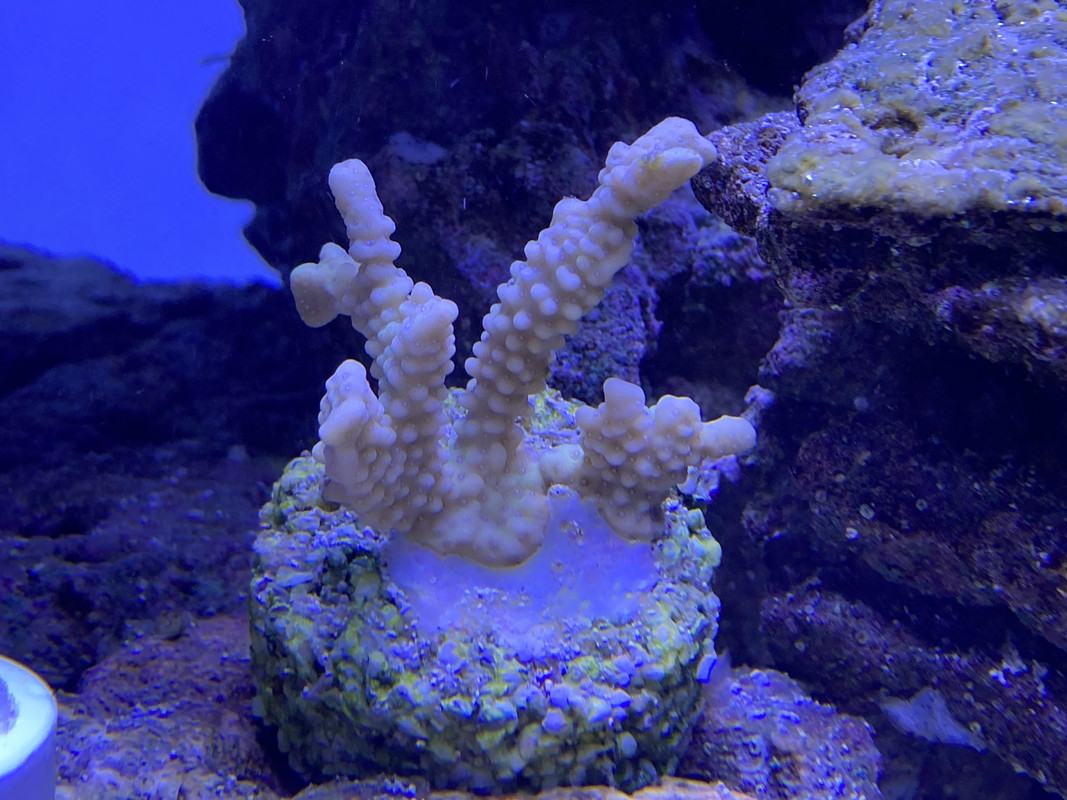 F589CFF3-F3C2-49DC-8AA4-A28521089556