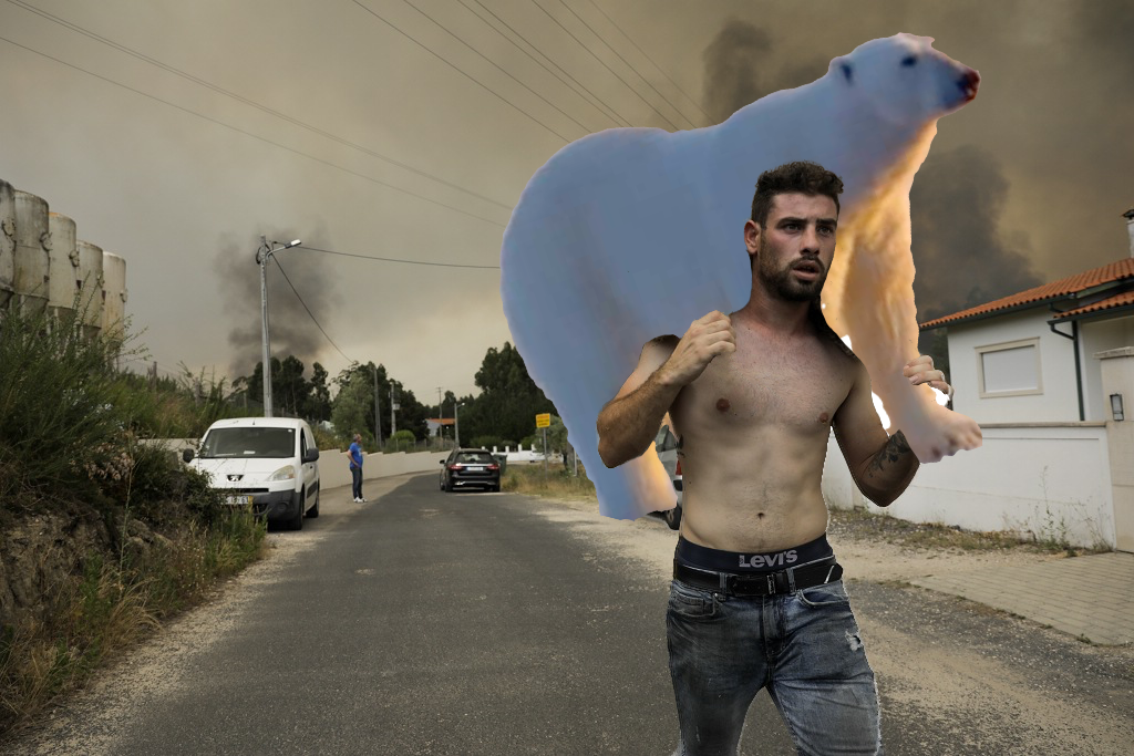 Pic CHAD LUSO _ urso