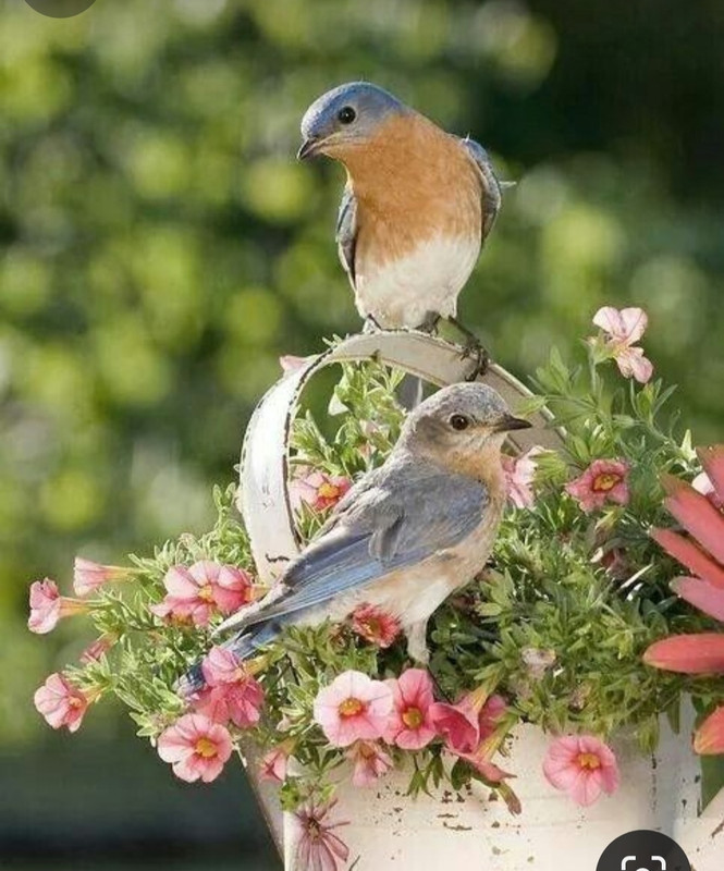 Screenshot_20240320_230357_Pinterest