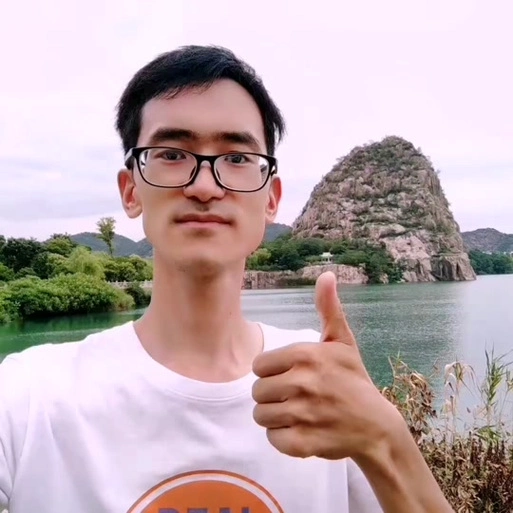 一只有梦想的咸鱼