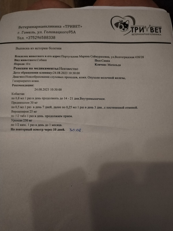 IMG-c116790c2305a56ed7216060527cb4a4-V