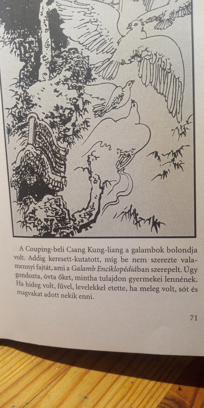 Kép