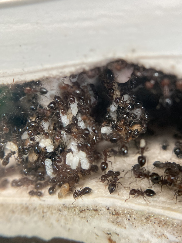 F8EEB38E-07AA-4746-8A81-A0A54638B758