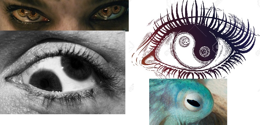 eye-designs.jpg