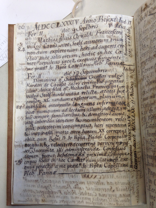 1784.9.13MDomenico_Sebastiano Nardon Anna Francesconi