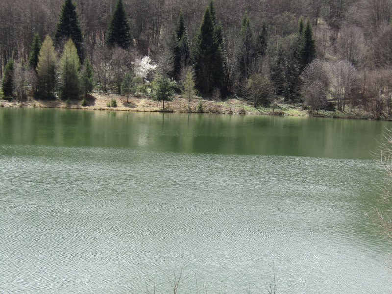 Slika