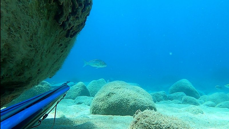 Screenshot_20200519-215529062 (1)