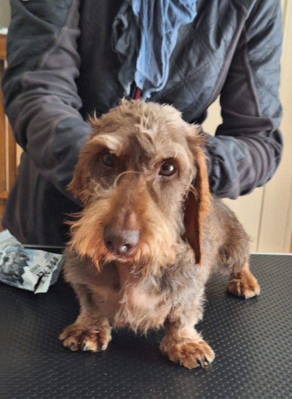 [Image: 20241022-142652.jpg]