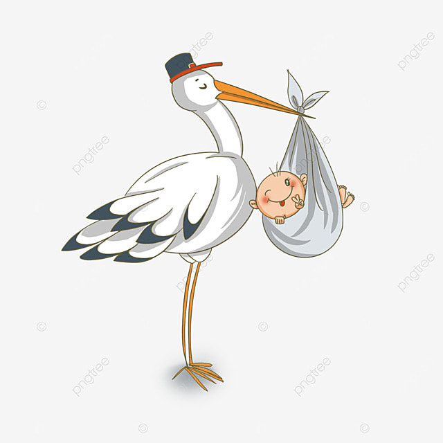 [Image: pngtree-cute-stork-resting-cartoon-with-...493918.jpg]