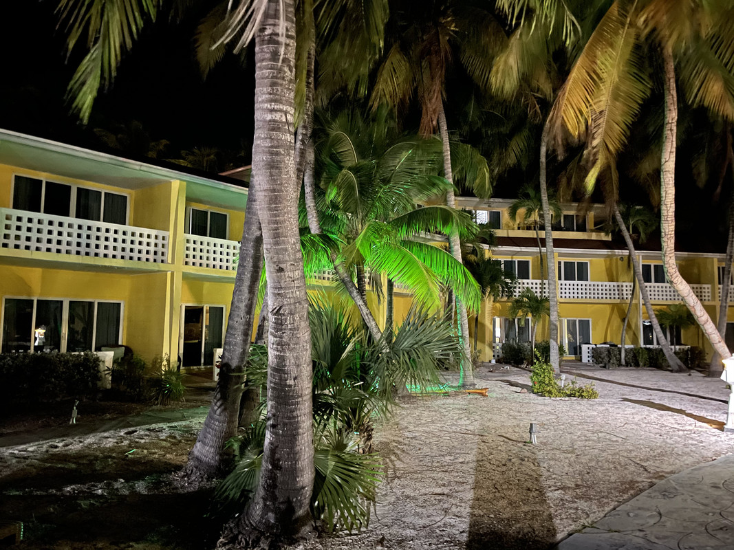 443ED517-7262-46B1-87DF-386EF2E8C323