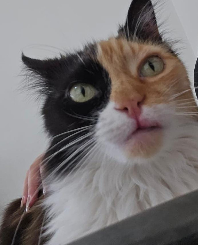 Whats-App-Image-2026-01-20-at-10-01-40.j