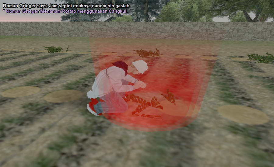 Roman-Petani-2.png