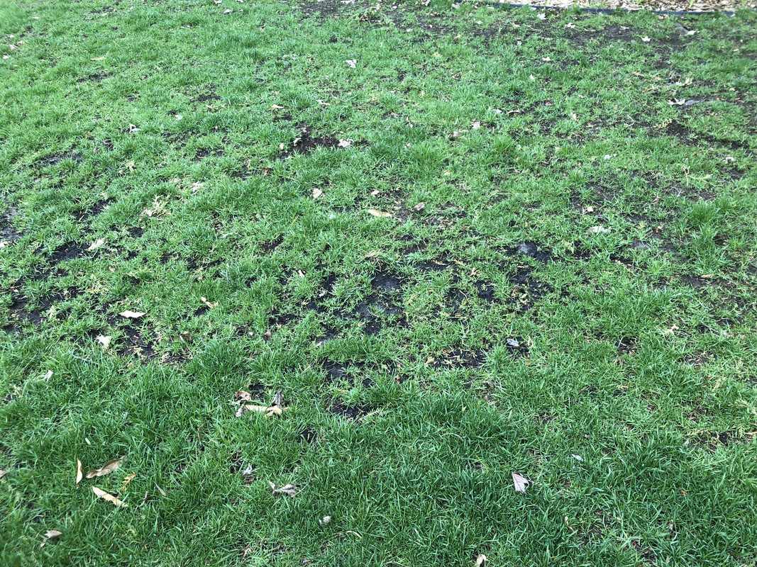 3FD87098-D142-41B6-88A3-B2BB6FFA3F5F