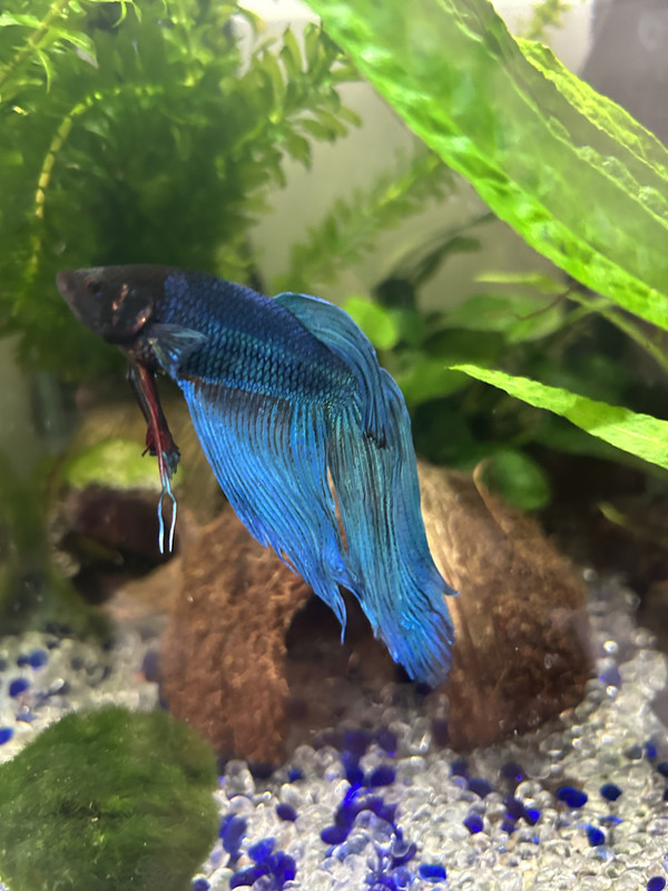 90C69A31-9869-40A8-A0CC-BE9006C9F9C5