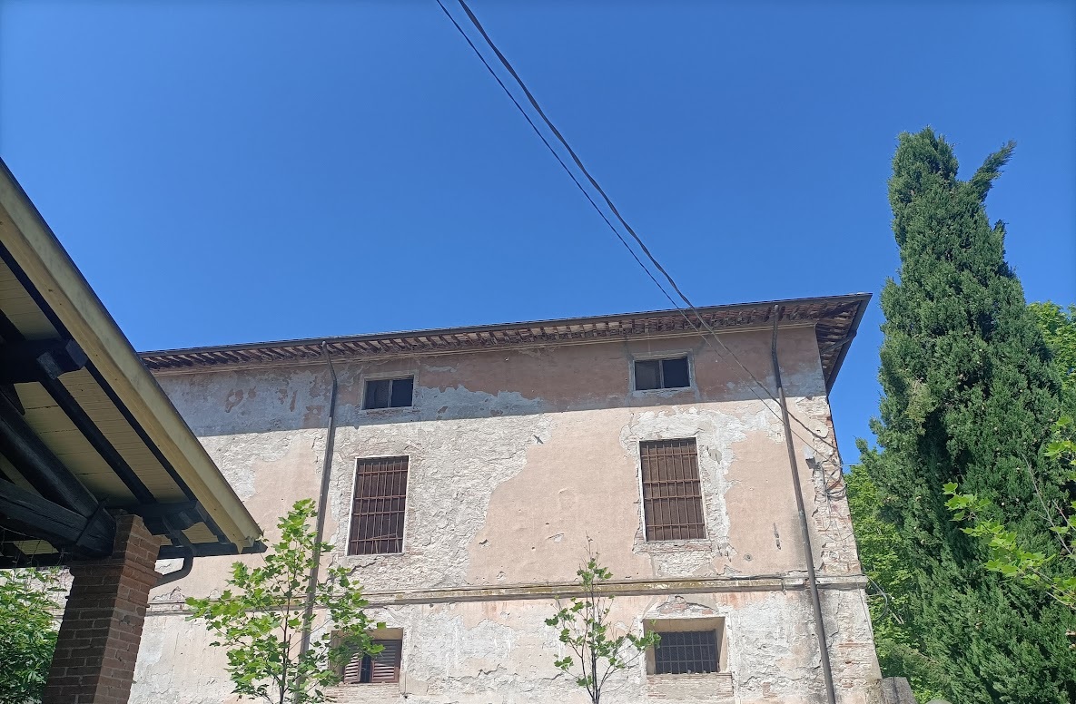 Cosa-fanno-le-rondini-vecchie