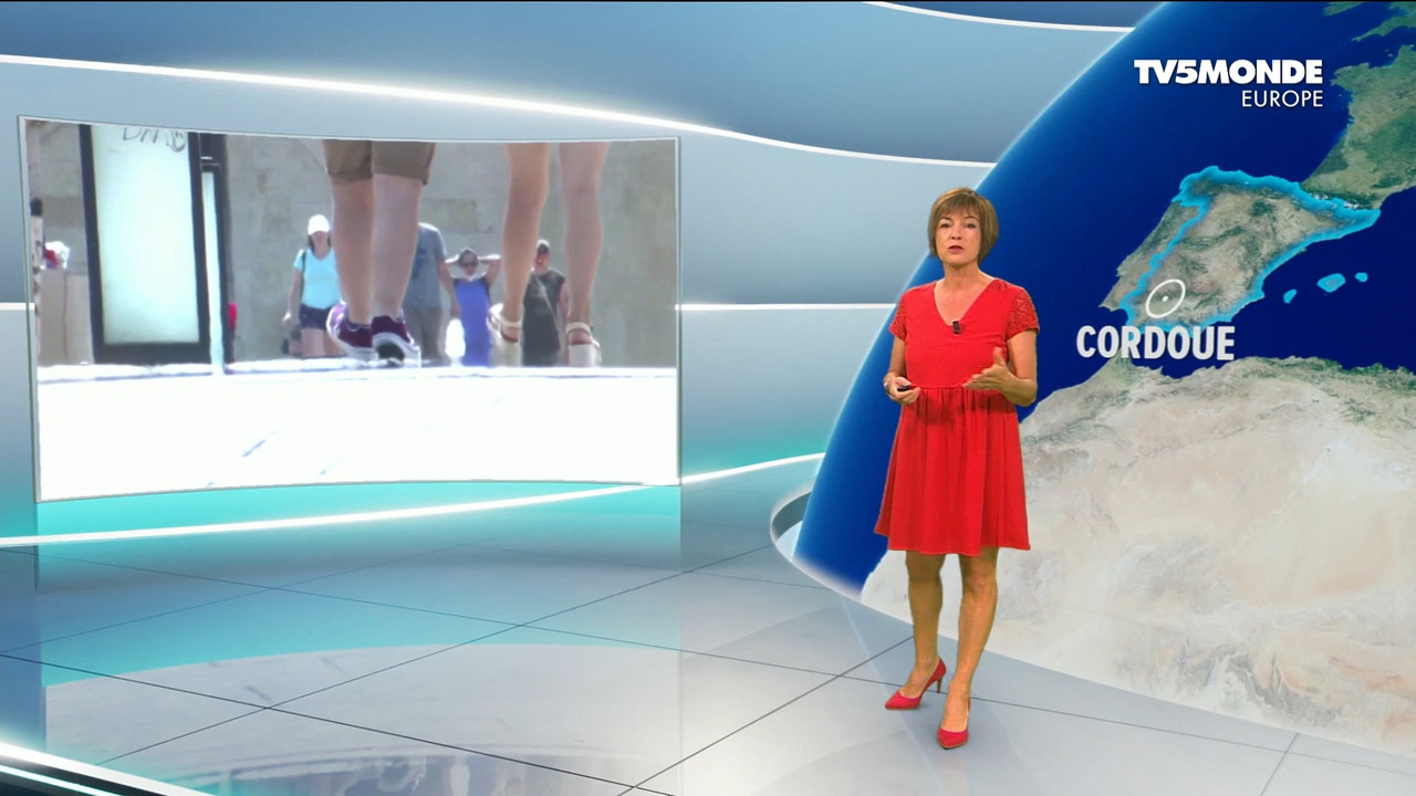 08.15 - 17.27.00 - Météo. Le bulletin météorologique international(1).ts_snapshot_06.19.598