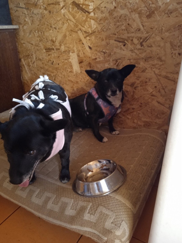 B167980E-832F-45AA-AC27-6FB13ACD573D