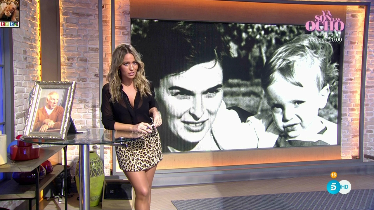 verdoytransparencias_oso3e