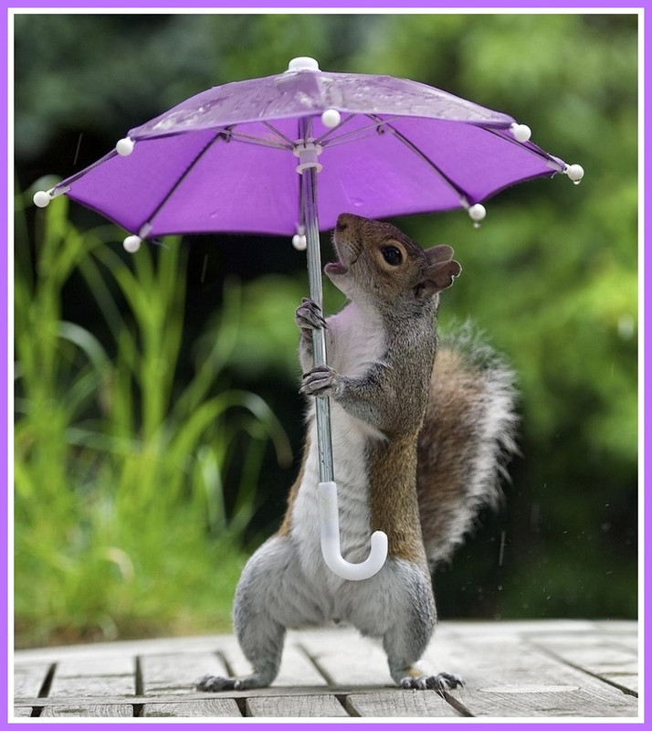 48ECAA81-3646-4CB8-857C-12DC6B15FEA3