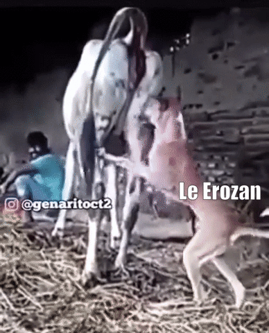 ezgif-3-ea12fde9c045.gif