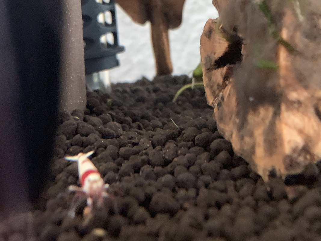 32058E9D-5EAF-4FB3-905B-E485DF22622E