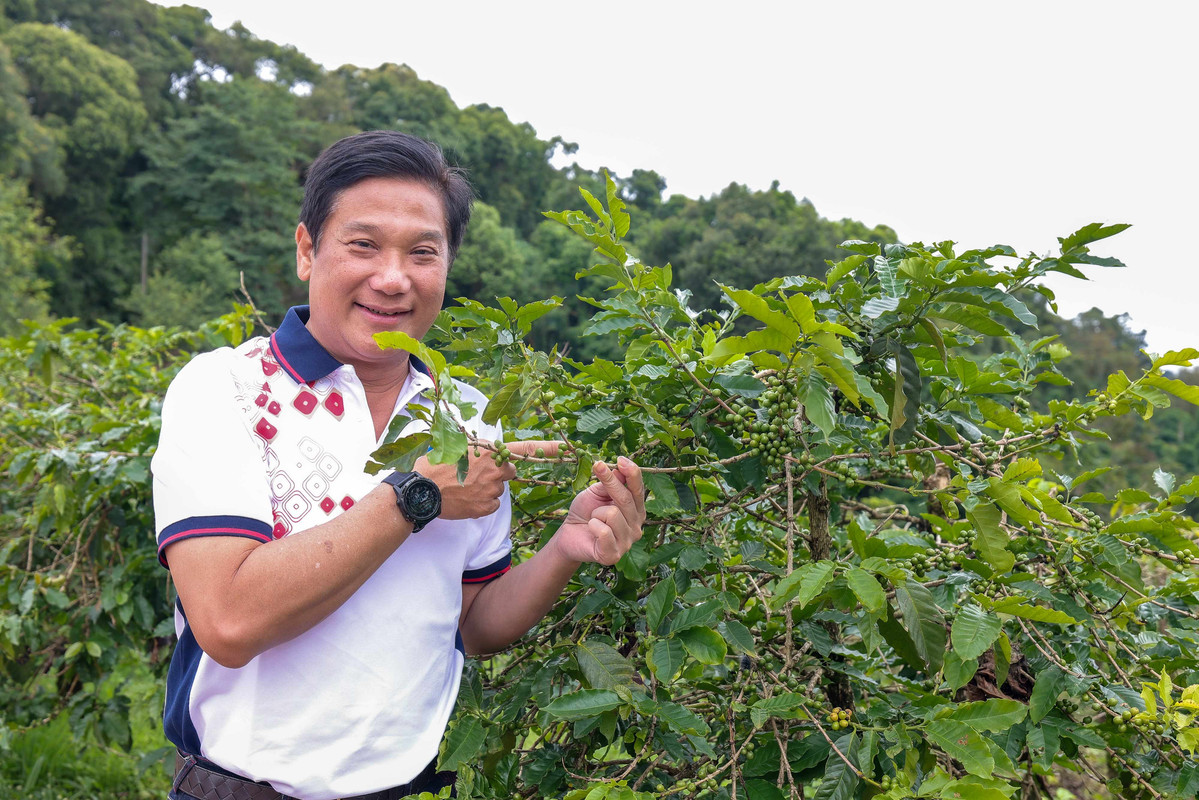 กาแฟยั่งยืน