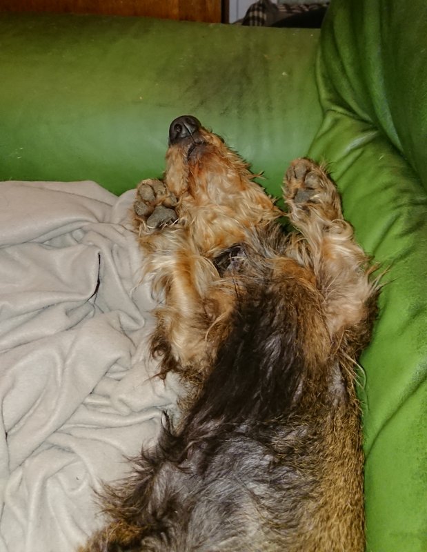 [Image: 20240209-214437.jpg]