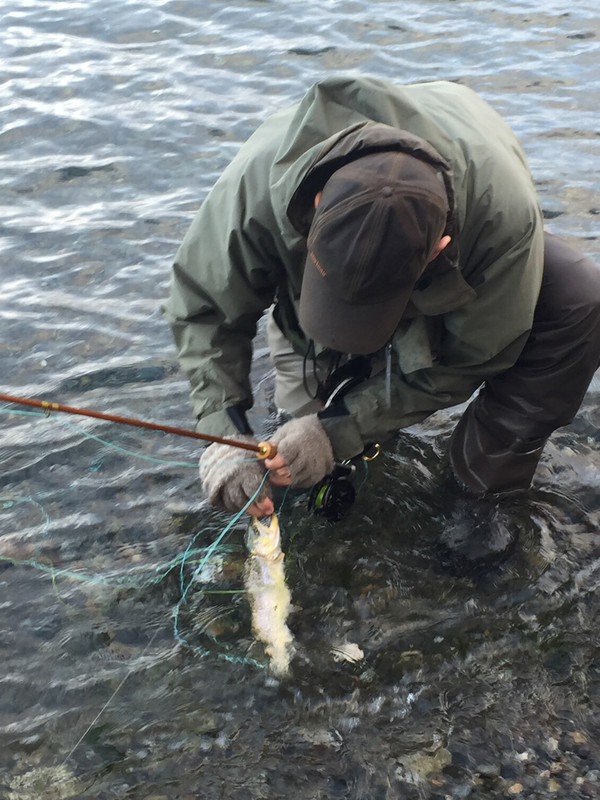 219CA445-5E7B-414F-ACC3-9F626554905D