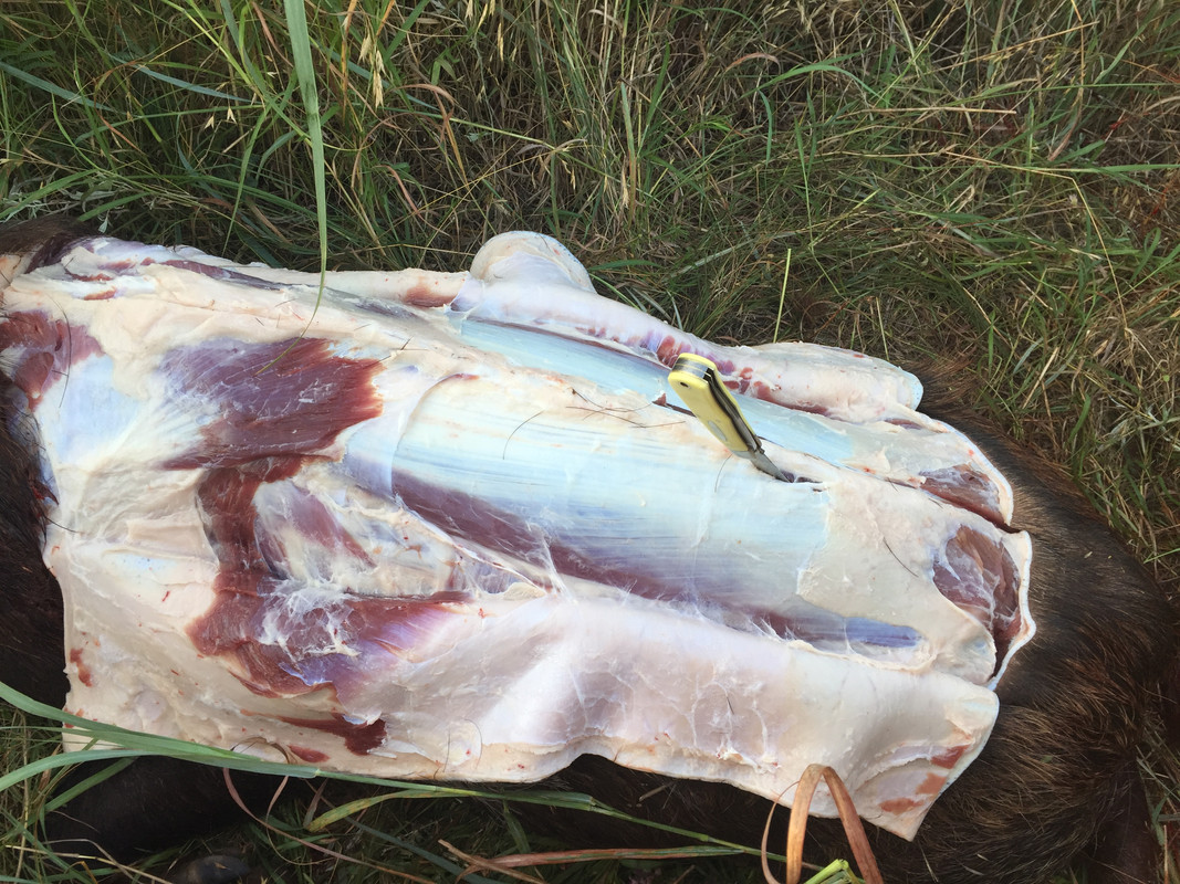 E964D1F6-3A2E-4004-A754-73E6B07A1347