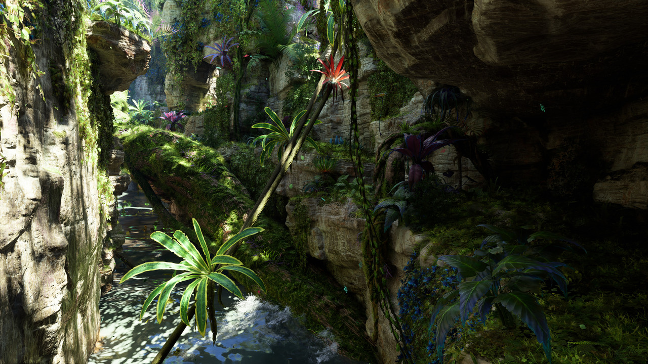 afop 2026 01 09 04 51 25 438