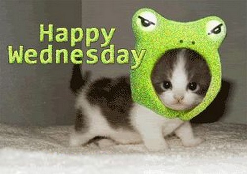 WEDNESDAY-mercredi-22