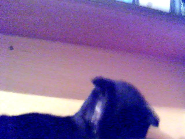 Изображение 022