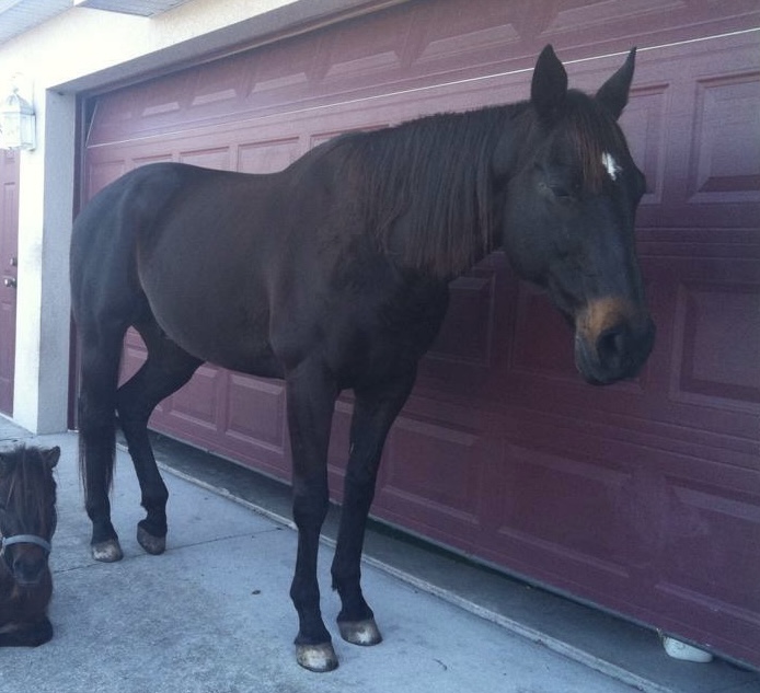 108BF1FC-07AC-4549-A40A-0E964A27088B