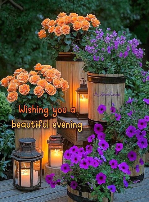 2128ddee9a1c3557db744c4ebf0a1f93