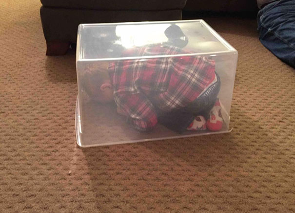 funny-kids-playing-hide-and-seek-461-605