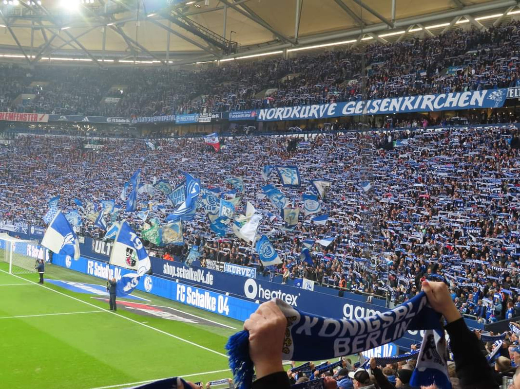 FB_IMG_1731349264848