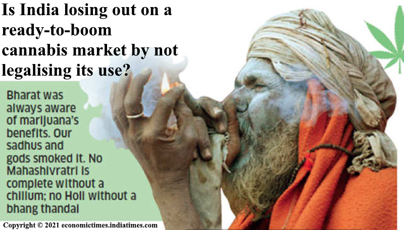 india-cannabis-market.jpg