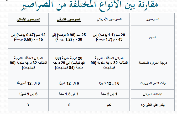 10-11-2021 08-39-46 ص