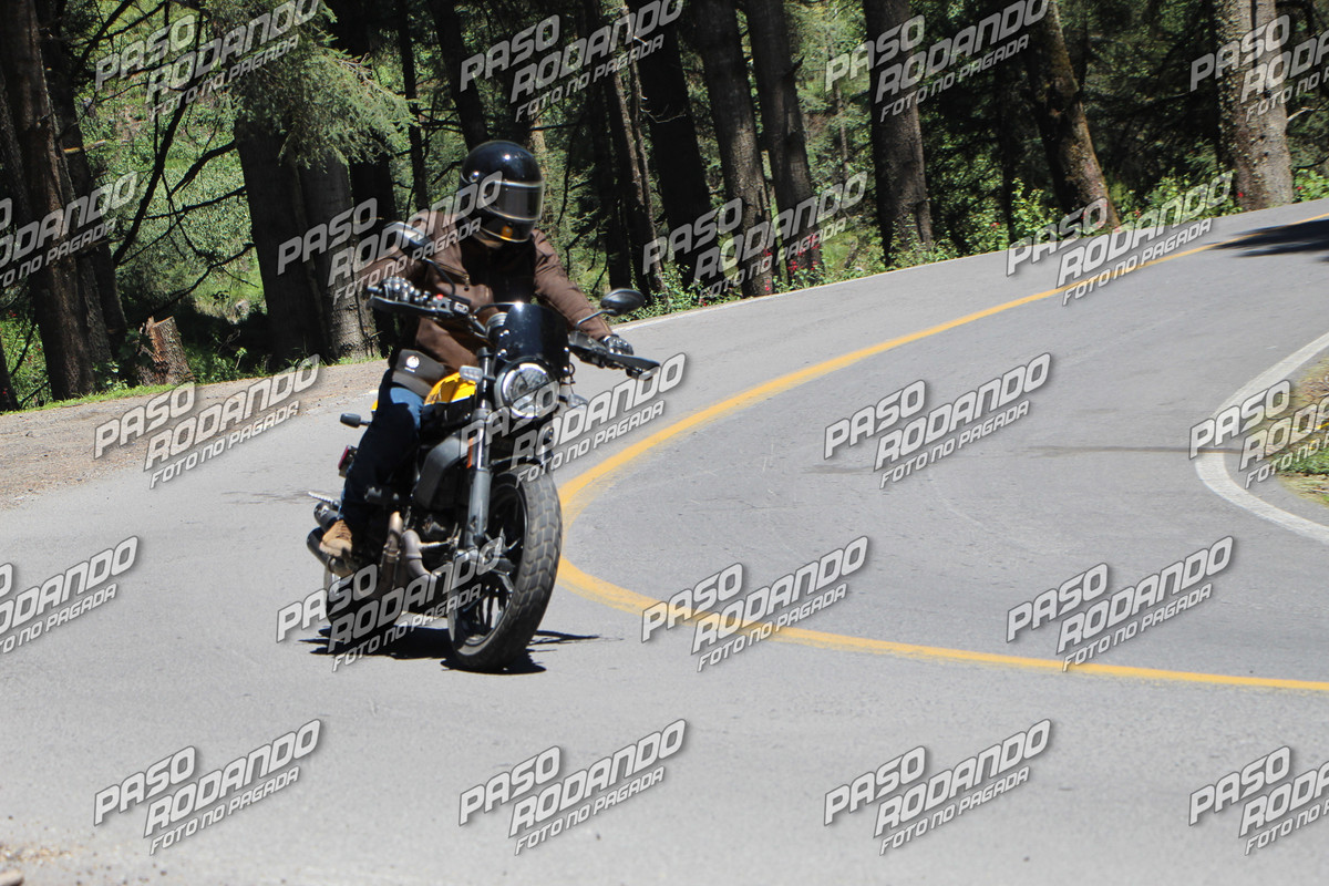 IMG 5997 wm 17888979 599999998 watermarked — Postimages
